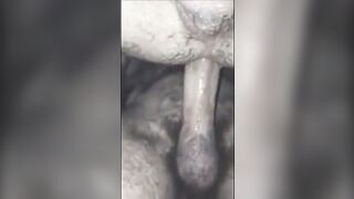 Bareback Creampie Upshot