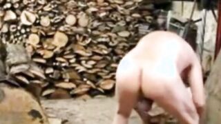 Silver Fox Strokes Wood at the Sawmill