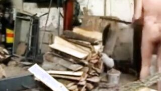 Silver Fox Strokes Wood at the Sawmill