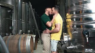 Chardogay – Paddy O’Brian & Manuel Reyes