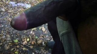 Sucking Black Cock Outdoors