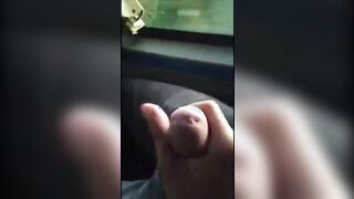 Big Dick Blowjob in a Bus