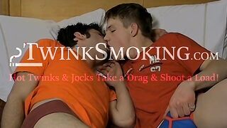 Hairy Ashley and smooth Jeremiah swap smoking and end it with a cum facial