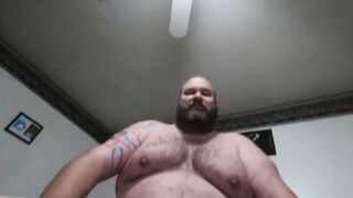 Fat Daddy Bear Takes it Like a Pro