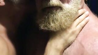 Hairy bears passionate kissing32