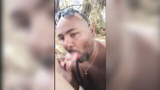 Bear sucking and eating258