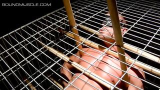 CORDED MUSCLE JOCKS - Encaged Tyler Saint has a weight trussed to his man-meat