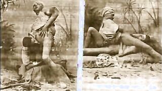 Homo Antique vid book 1890s- 1950s- ne