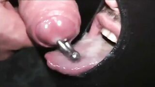 hooded stud deep throating 2 immense penises