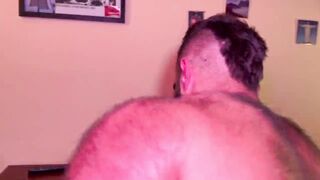 Tabby and bear hairy man take turns in