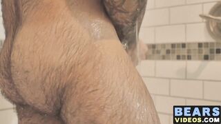 Bear washes his furry body and spanks his thick monkey