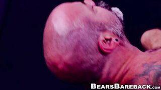 Papa bear destroyed by his favorite cub bareback style