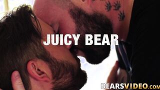 Bear daddies enjoy rimming before bareback ass slamming