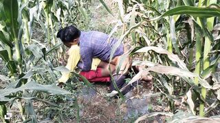 Indian Desi Flicks - A laborer working in a corn area plowed his accomplice's butt - Hindi Voice