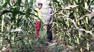 Indian Desi Flicks - A laborer working in a corn area plowed his accomplice's butt - Hindi Voice