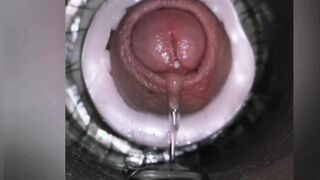 Precum compilation