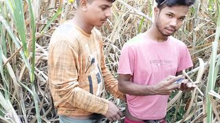 Indian Homo - 3 School Fellows From A Petite Village Have Hookup With A Real Doll In The Fields