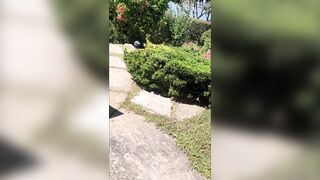 PARENT has a Jerk OUTSIDE