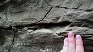 Timonrdd Found Someone's Forgotten Masturbator In A Local Canyon And Poked Him