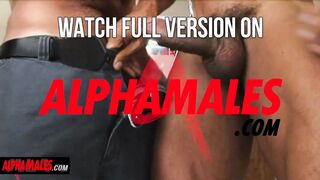 Alphamales.com - Pic studio fuck-fest