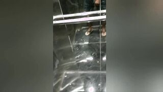 Gorgeous compilation of insatiable lecturer fapping in elevator, public wc and in mates building with immense manmeat and sumptuous elastic culo