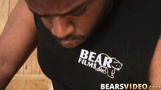 Chubby bear Jason Roman blows BBC before bareback doggystyle