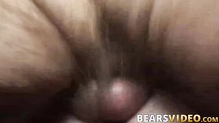 Burly bear Jack Stafford anal banging after deepthroat BJ