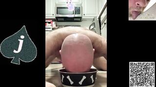 Faggot slut exposure whore drinks piss from doggy food bowl